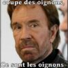 votedean 2003026 chuck norris2