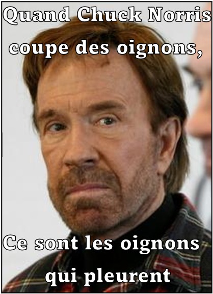 votedean 2003026 chuck norris2